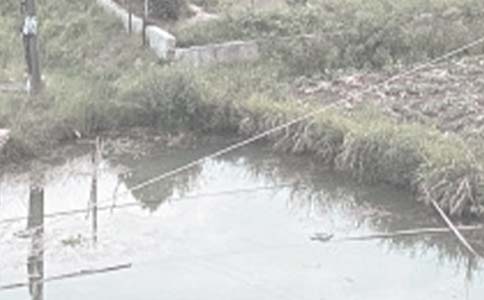 农村鱼塘承包合同通用15篇