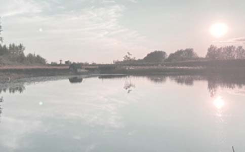 �����㣩�������޺�ͬ