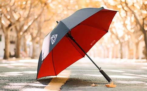 大班语言教案:黄雨伞教案及教学反思【必备】