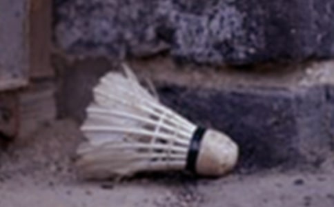 ��ë��ѵ���ƻ�