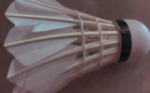 ��ë���������