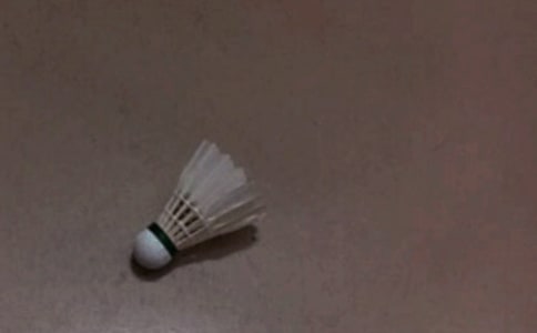 ��ë�������߻�����