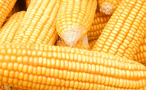 ��������ˮ����ȷ�չ����ĵ��б���