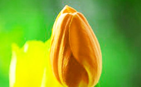 ������̰�11ƪ