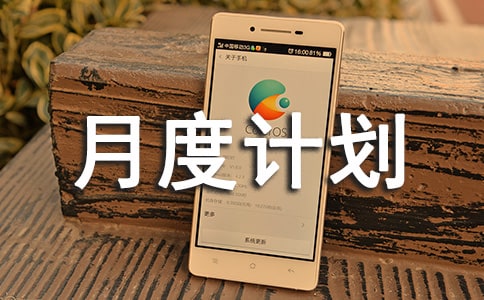 个人月度计划(合集15篇)