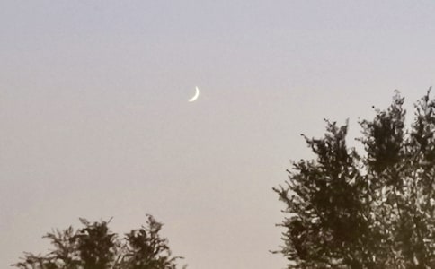 �������������̰�