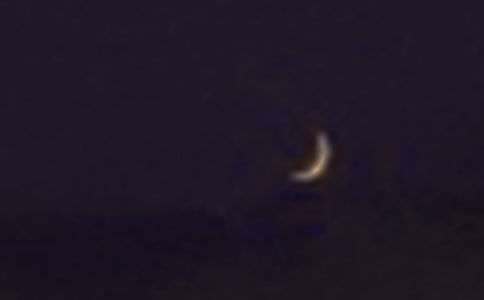 �����������̰�