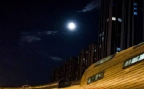 人月圆·山中书事原文及赏析