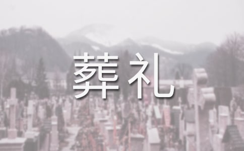 特殊的葬礼教案(精华15篇)