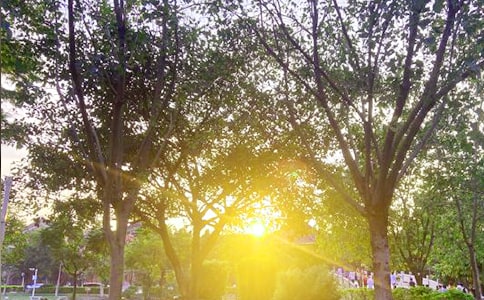 ��ʵ�á��°��簲������¼28��