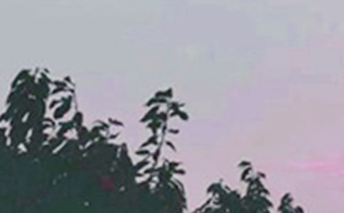 ΢���簲��������¼