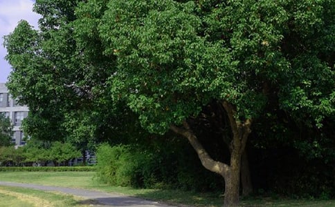 2024�곣����ܰ���簲������¼�ϼ�30��