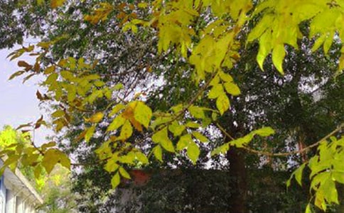 2024年简短的适合早上发的早安心语语录26句