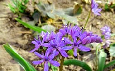 �簲������¼23��