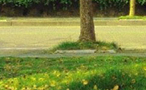 ���Ƽ����簲��������¼