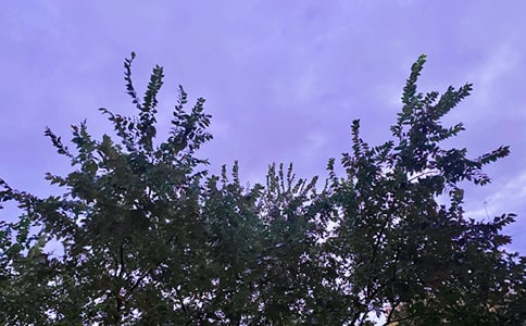 ʵ�õ���ϵ��簲������¼�ϼ�41��