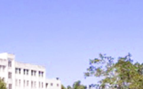 有关每日一句早安问候语语录33条