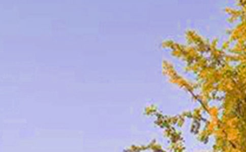 ��̵��ʺ����Ϸ����簲������¼16��