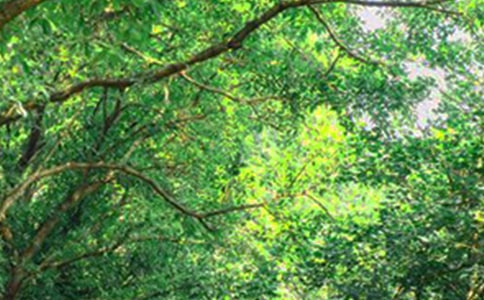 2024年有关每日一句早安心语语录20句