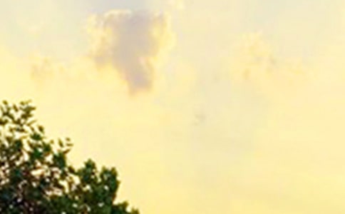 ��ѡ�������簲������¼27��