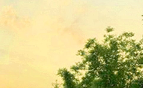 2024�������ů���簲������¼24��