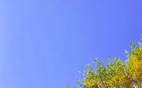 ��ѡ�ʺ����Ϸ����簲������¼28��