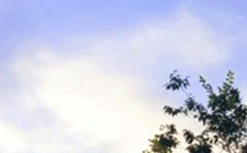 ÿ��һǩ�簲������¼49��