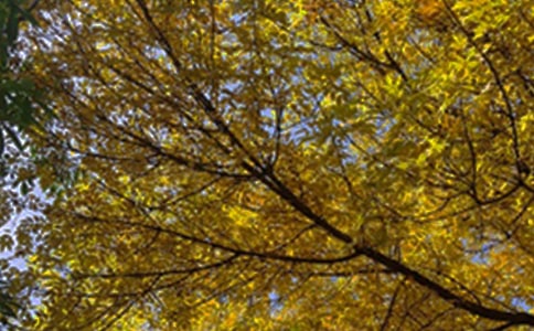 2023���̵���ϵ��簲������¼46��