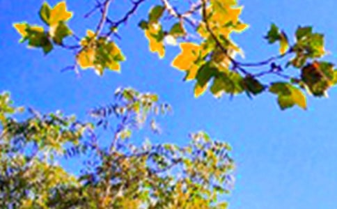 2024��ʵ�õ�ÿ��һ���簲������¼����68��