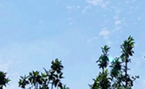 2024�곣������ϵ�簲�ʺ�����¼37��