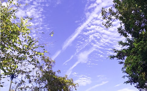 实用的早安心语语录摘录44条