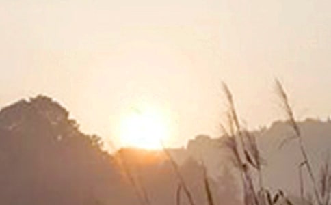 2023��򵥵�����ϵ�簲������¼58��