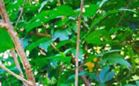 ÿ��һǩ�簲�ʺ�����¼38��