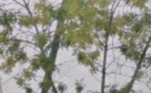 ������ů���簲������¼27��