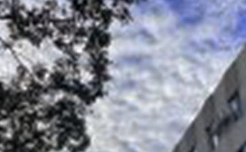 2024年简洁的温暖的早安心语语录46条