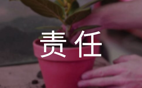 两个责任落实情况报告