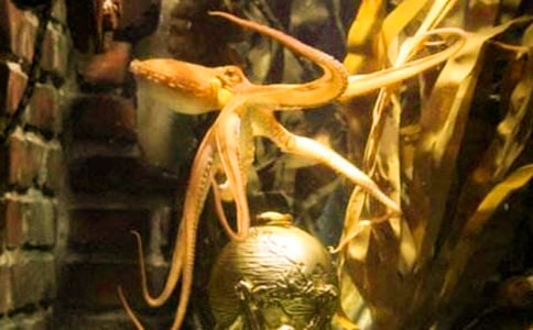 �����㡷С��̰�