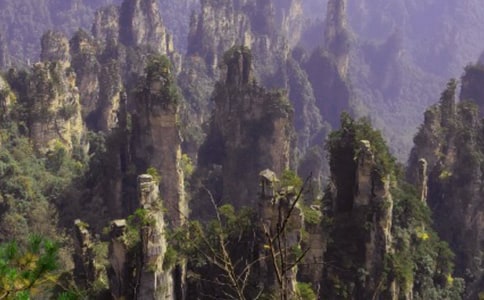 �����˵��żҽ硷����̰�