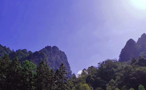 �����˵��żҽ硷�̰�