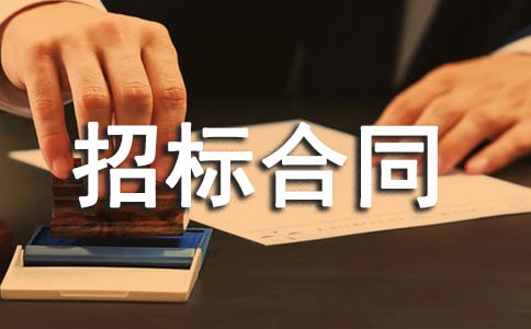 项目工程设计招标合同