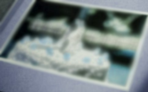 �������ĳ���������Ƭ�ļ��ɷ���