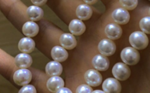 ������Ȫ������̰�