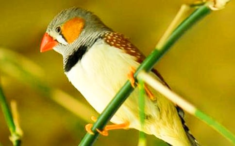 �������񡷵ڶ���ʱ�̰�