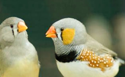 �������񡷽̰��ϼ�15ƪ