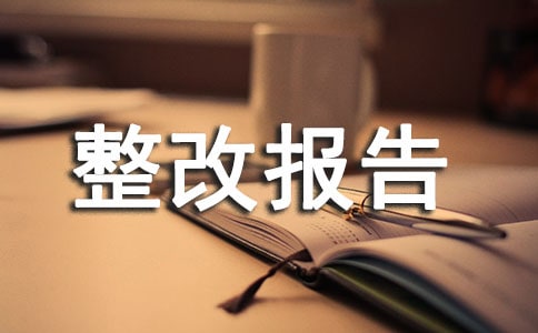 交-警自查整改报告