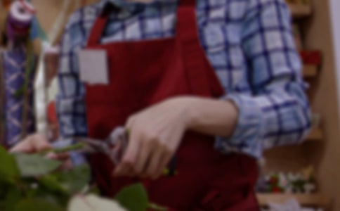 ְλ����������(6ƪ)