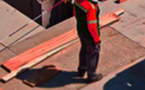 职位申请的申请书