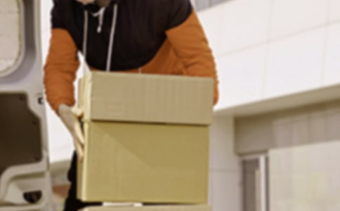 (����)ְҵ�����ĵ����