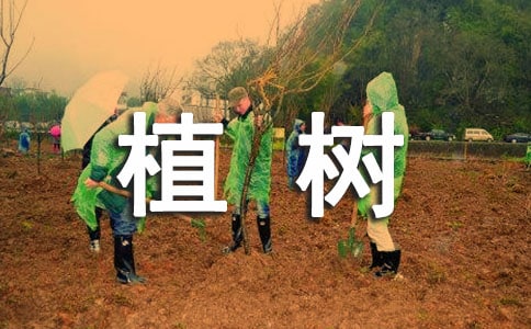 ֲ������̰�����ѡ15ƪ��