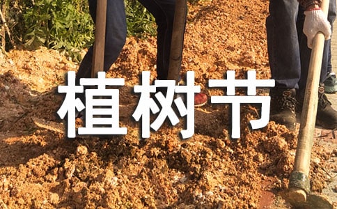 �׶�԰С��ֲ���ڻ����